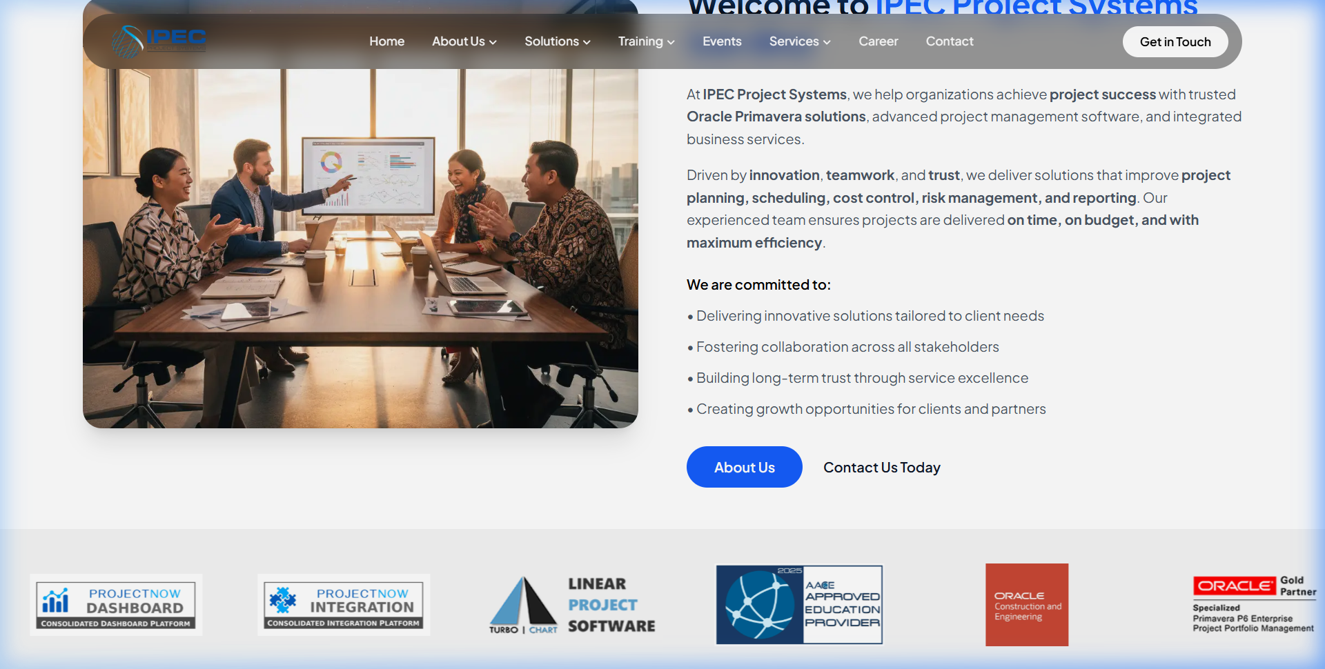 IPEC Systems digital PMO dashboard for engineering project management